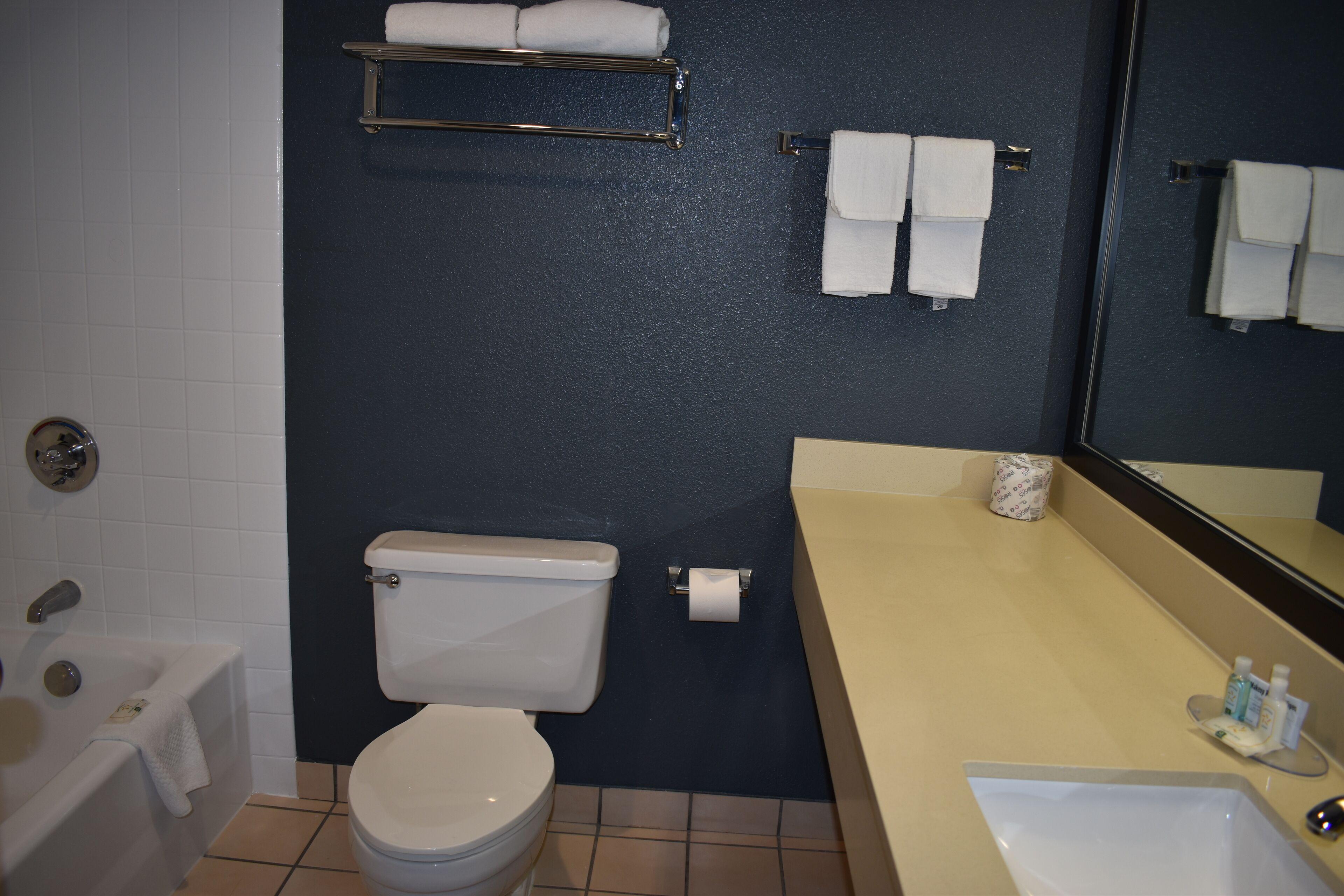 King Room Non-Smoking or Pet Friendly,1641021102:JPEG